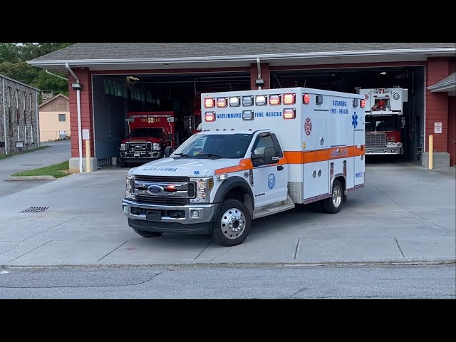 BREAKING NEWS: Missing Hiker Found Dead in Cades Cove, Smoky Mountains