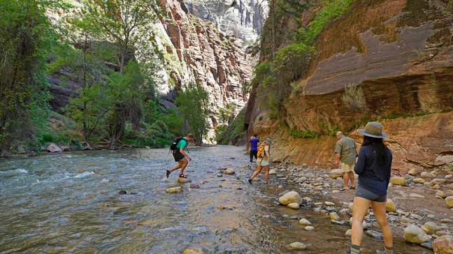 6d7571eb-b159-42f2-b5c3-19c6cac40af1-medium16x9_GettyImages1213157172ZionNationalPark